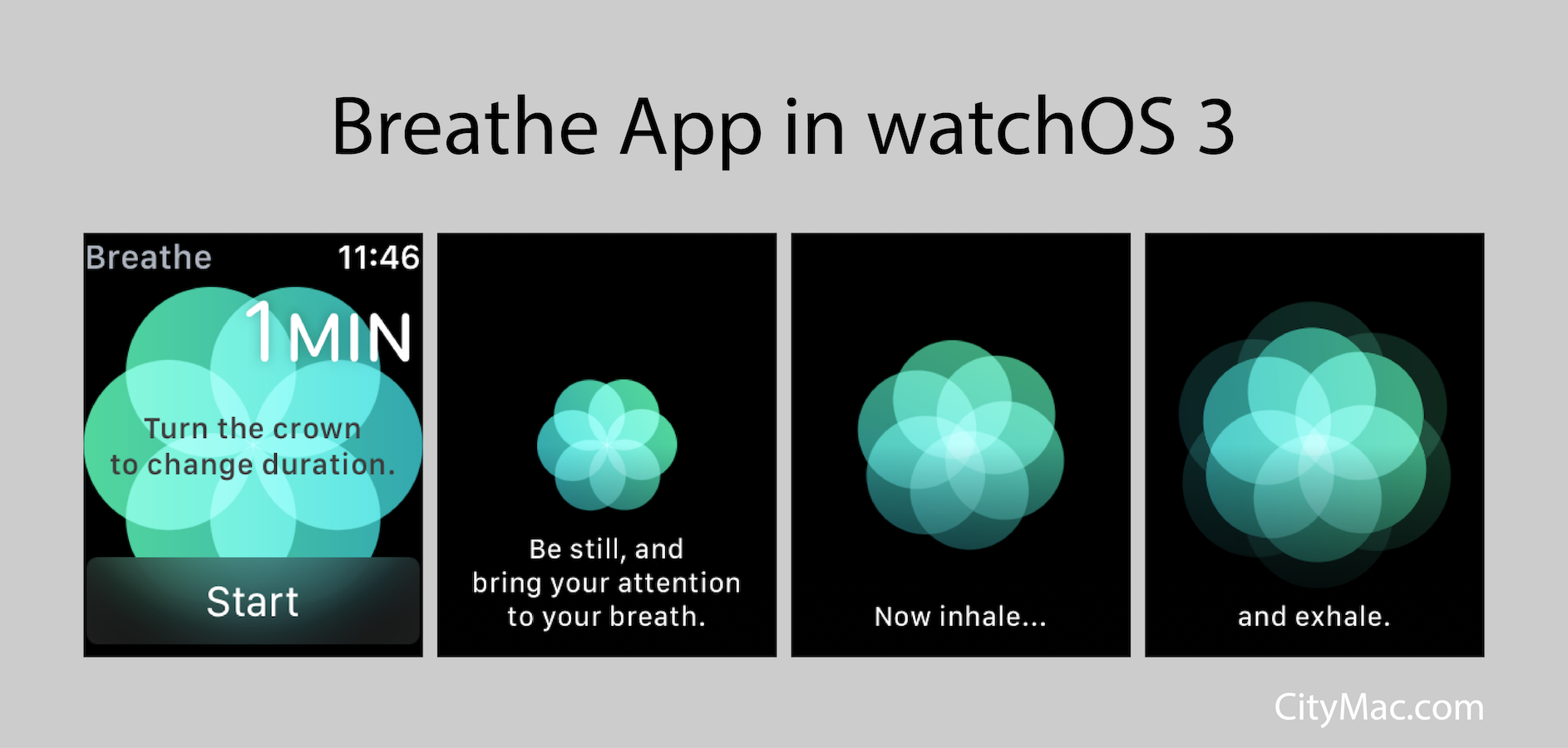 Breathe App in watchOS 3 Banner Image