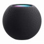 HomePod mini Space Gray